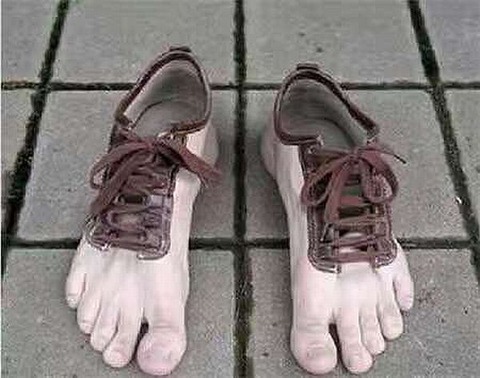 なんじゃこりゃ