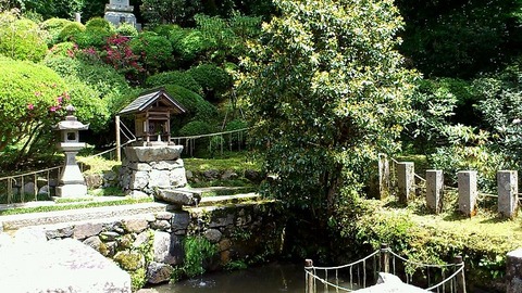 龍蓋池②