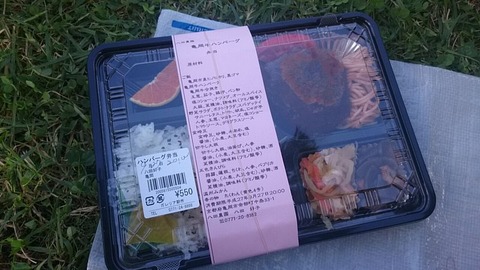 八田農園 亀岡牛ハンバーグ弁当①