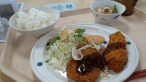 しそ巻きフライとチーズチキンカツ