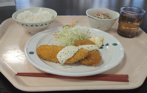 カツオカツと鮭フライ