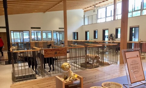 訓練中の犬たちが暮らす木香テラス