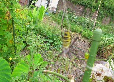 ②