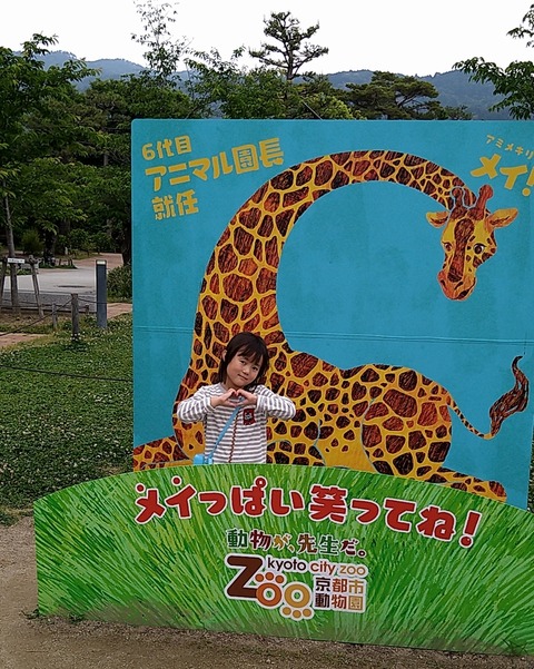 動物園