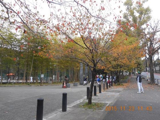 赤坂御用地外周 迎賓館 安鎮坂 15年11月23日 東京の四季 庭園 公園 赤坂御用地外周 迎賓館 安鎮坂 15年11月23日 東京の四季 庭園 公園