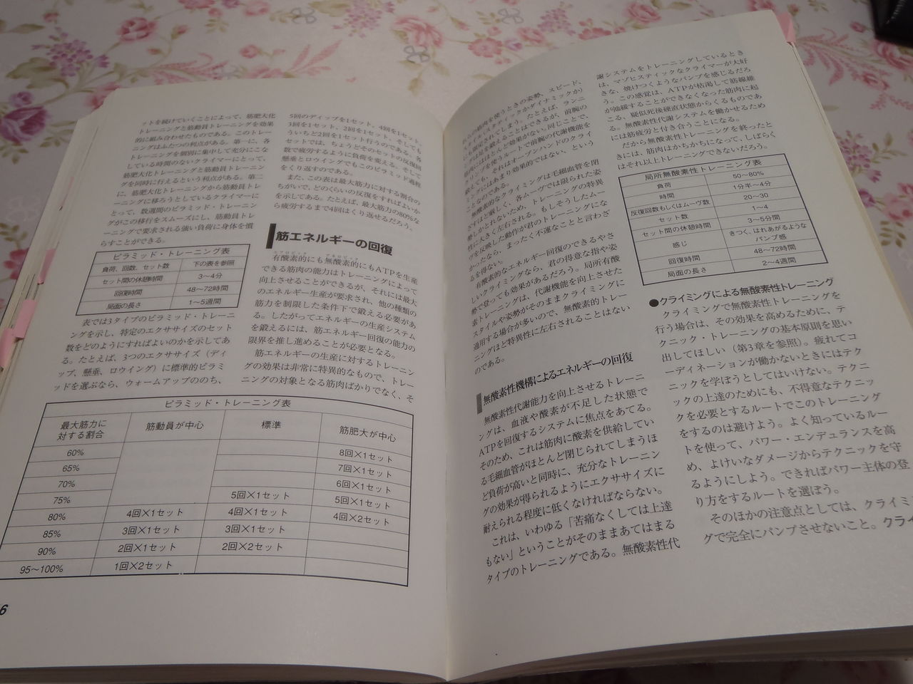 パフォーマンスロッククライミング から簡単に抜粋 クライマーｄｏｎの汗物語