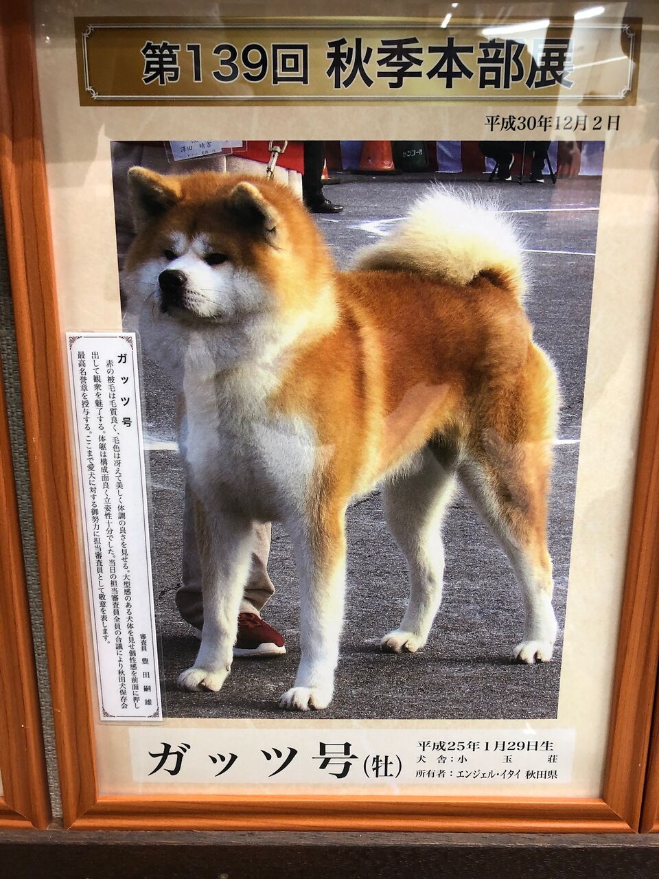 まち探検隊 現る Hideolgaのblog まち探検隊 現る Hideolgaのblog