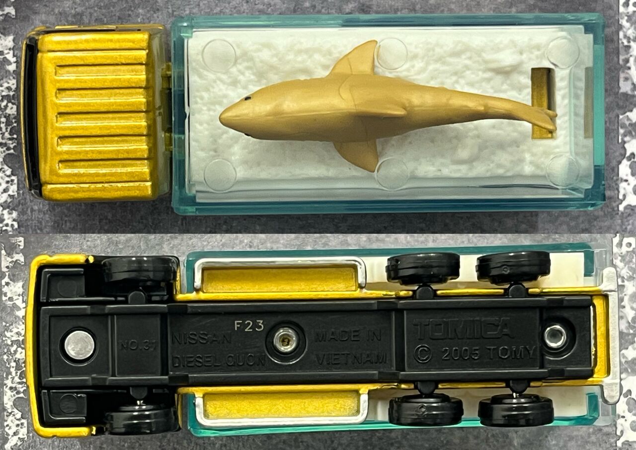 トミカ博2019 UD クオン 金色サメ運搬トラック 箱