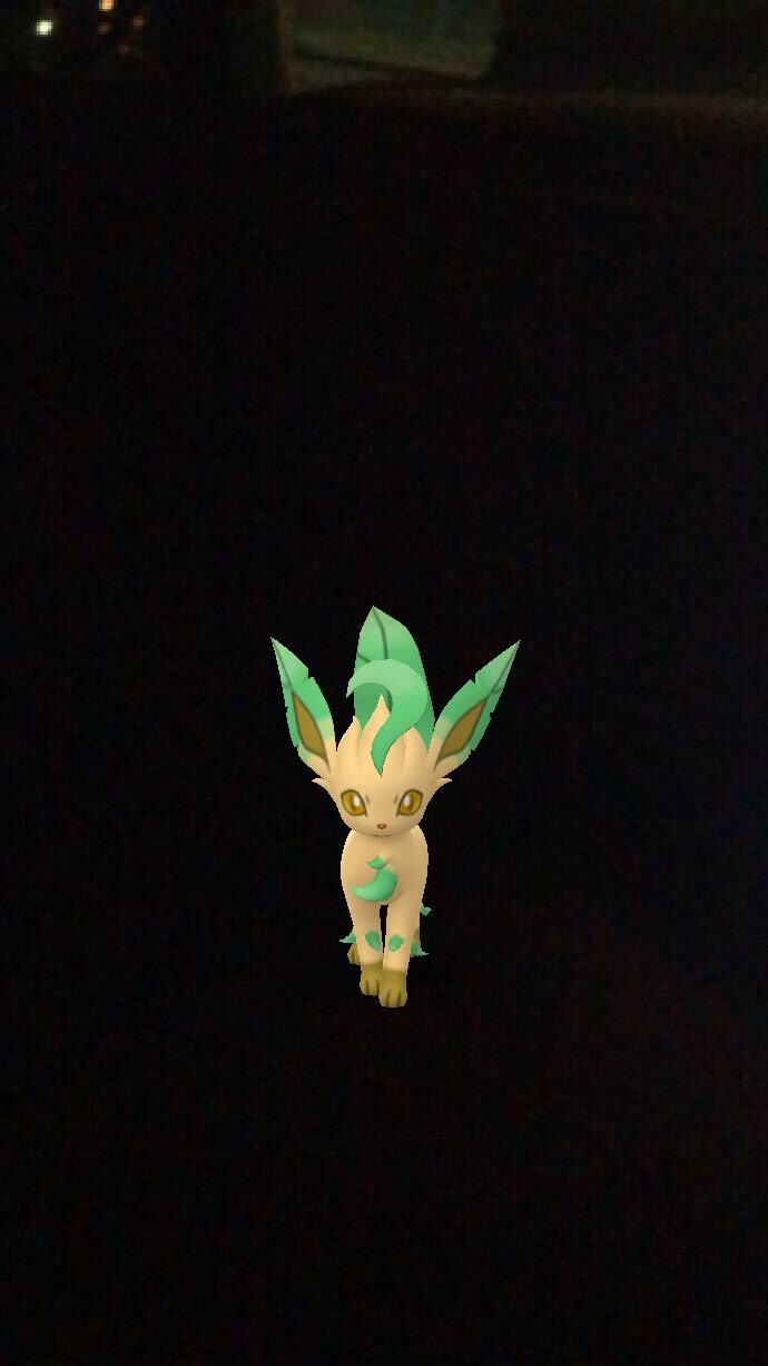 薪 夜間現場調査 ポケモンgo リーフィア ホテイの焼き鳥入りごはんだれ あ倍川もち 半生 しょうゆせん カレーせん じゃがスティツク とろけるチーズおかき 南ちゃん 幸せを生む住まい ひでさんブログ