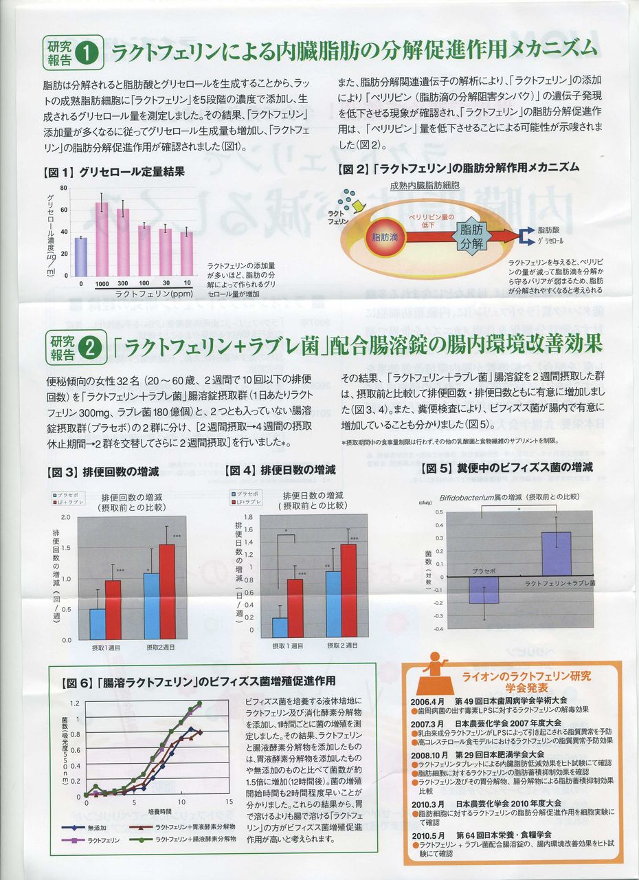 ﾗｸﾄﾌｪﾘﾝ ﾗｲｵﾝ 富士山 夜景 小富士 選挙管理委員 幸せを生む住まい ひでさんブログ