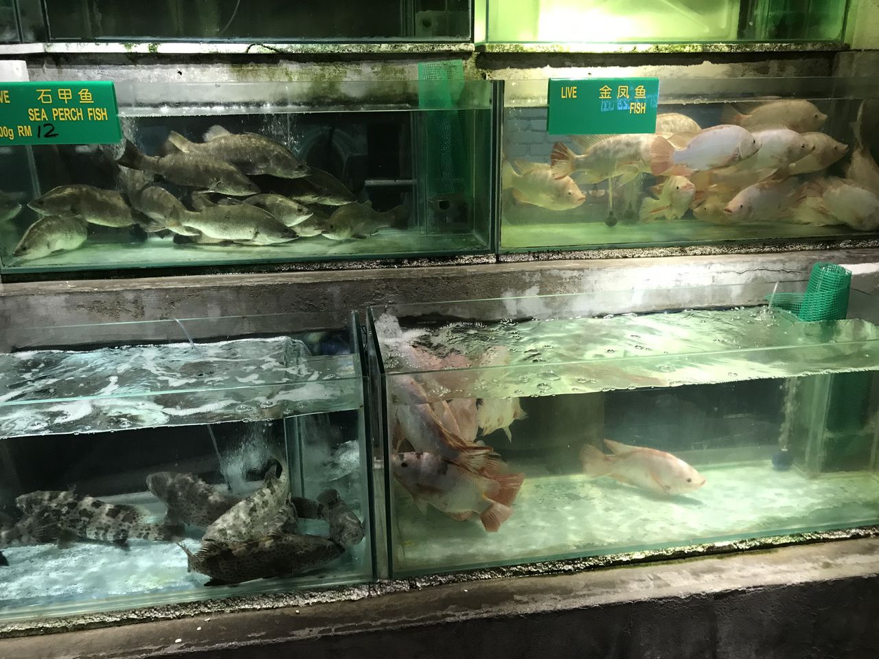 マレーシア旅行 クアラルンプール 中華料理 シャコ 鶏 海老 魚 筍 青菜 チャーハン タイガービール 紹興酒 赤ワイン スイカ セブンイレブン アイス 幸せを生む住まい ひでさんブログ