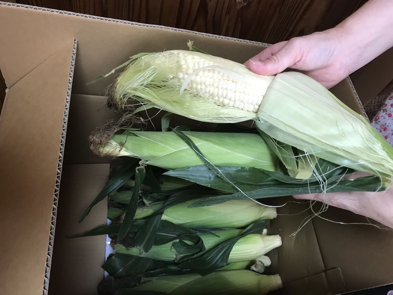 ふるさと納税 北海道トウモロコシ 生食 チョコボール グレイプラムネ 裾野市 ふるさと納税 静岡茶 新作清涼飲料水 夜間工事 果実氷いちご 幸せを生む住まい ひでさんブログ ふるさと納税 北海道トウモロコシ 生食 チョコボール グレイプラムネ 裾野市 ふるさと納税 静岡茶 新作清涼飲料水 夜間工事 果実氷いちご 幸せを生む住まい ひでさんブログ