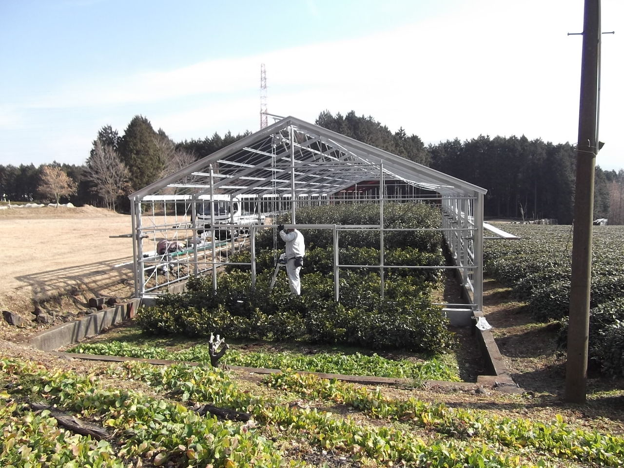 軽量鉄骨ﾋﾞﾆｰﾙﾊｳｽ設置工事 完了 大雪でも大丈夫 某製茶店様 : 幸せを 