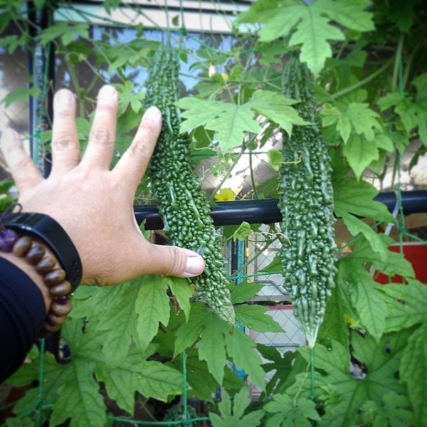 IMG_20200722_072025_531