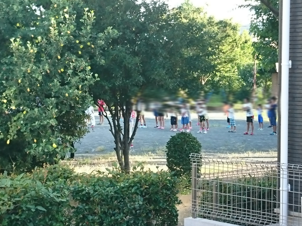 sketch-1532296156806