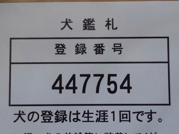 KIMG4266