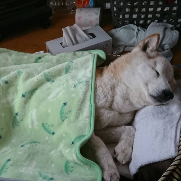 IMG_20190310_085705_745