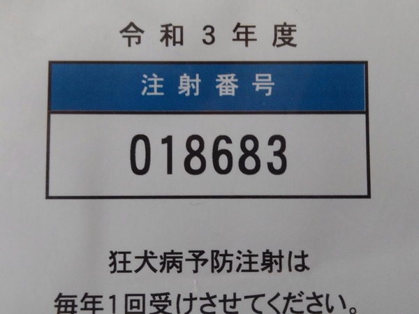 KIMG4265