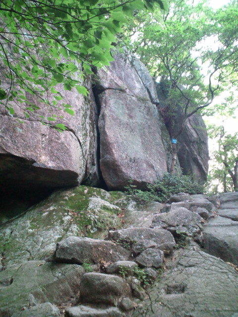 20100725071858