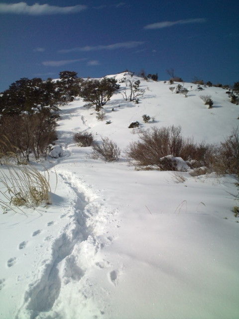 20110114132111