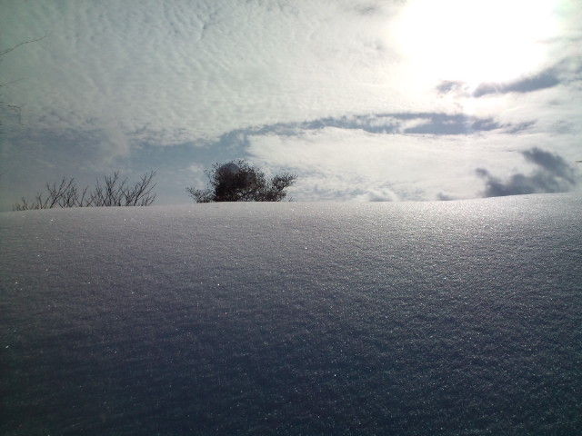 20110114134710