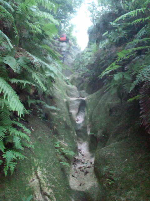 20100730063819