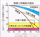 喫煙と肺機能の関係