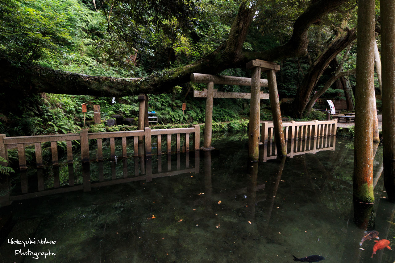 鹿島神宮に行ってきました ヒデユキナカオのblog