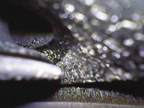 Image_2025-11-23 13_03_17_365