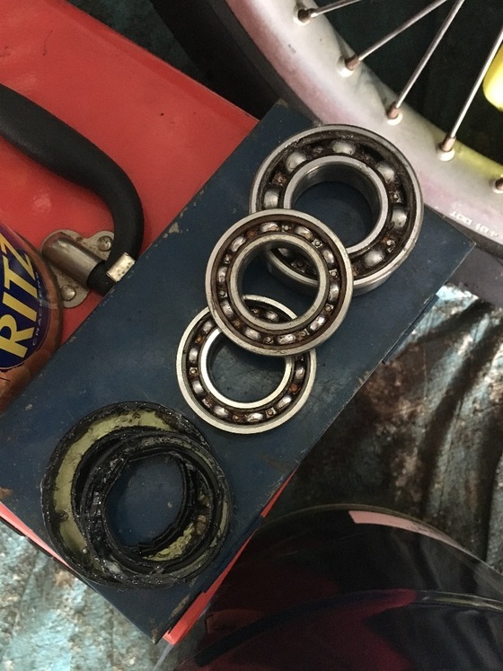 8fc08171.jpg