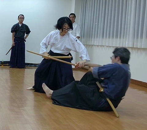 kodachi_syodenno2iri