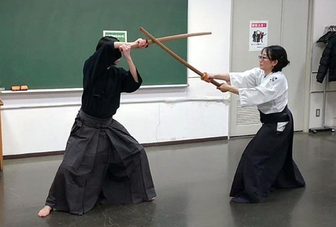 kenjutsu_syoden6no3_3