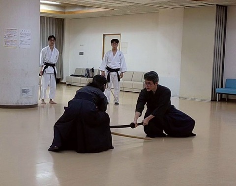 kenjutsu_chushindatekiriotoshi