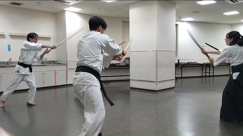kenjutsu_suburi16