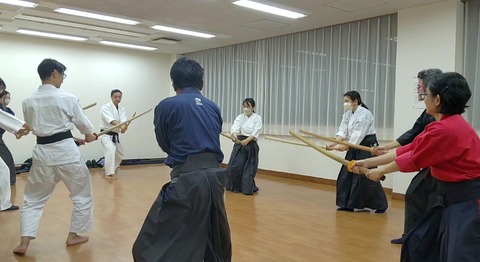 kenjutsu_suburi_gedantsuki
