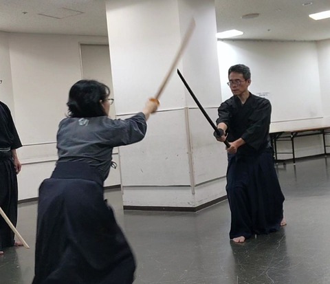 kenjutsu_jodanuchiseiganyoke3
