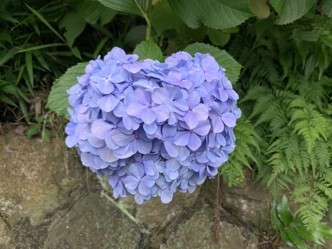 38C361BE-109F-46E0-B988-8276CD8D3140