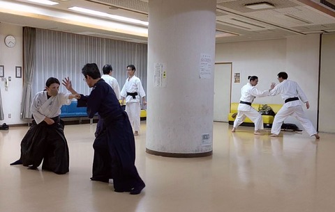 jujutsu_hanmitsukiyoke18
