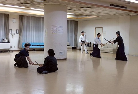 kenjutsu_chushindatekiriotoshi2