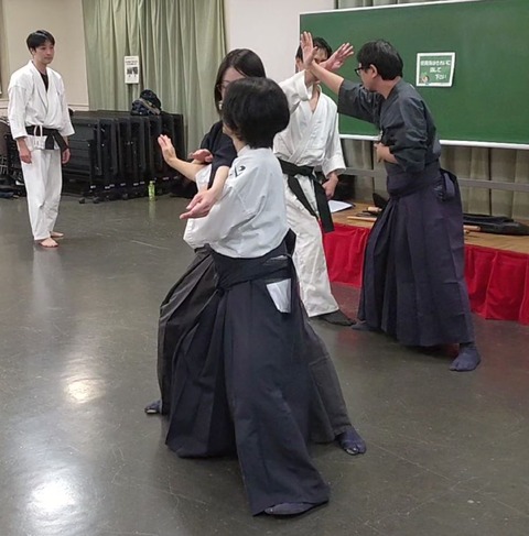 jujutsu_sokumenirimi