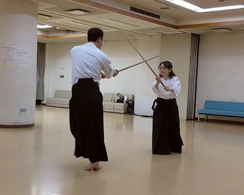 kenjutsu_kirikaeshimatome