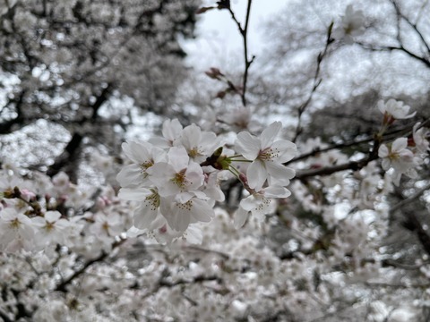 3CE067EB-4B3C-485F-802B-22710A24B1F5