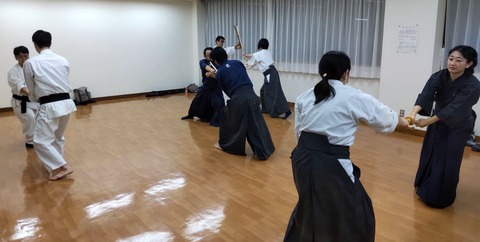 kenjutsu_keiko