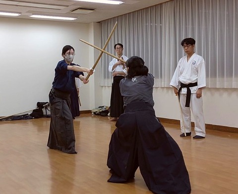 kenjutsu_chushindate4