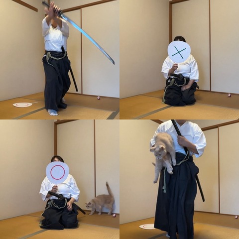 E0C8829A-223B-4152-935C-6043F2A83551