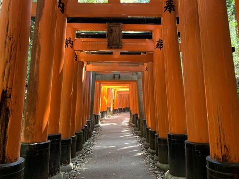 62DDCAD3-81B0-47F5-AB60-9987EA6387CA