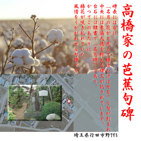 20170811