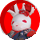bo009