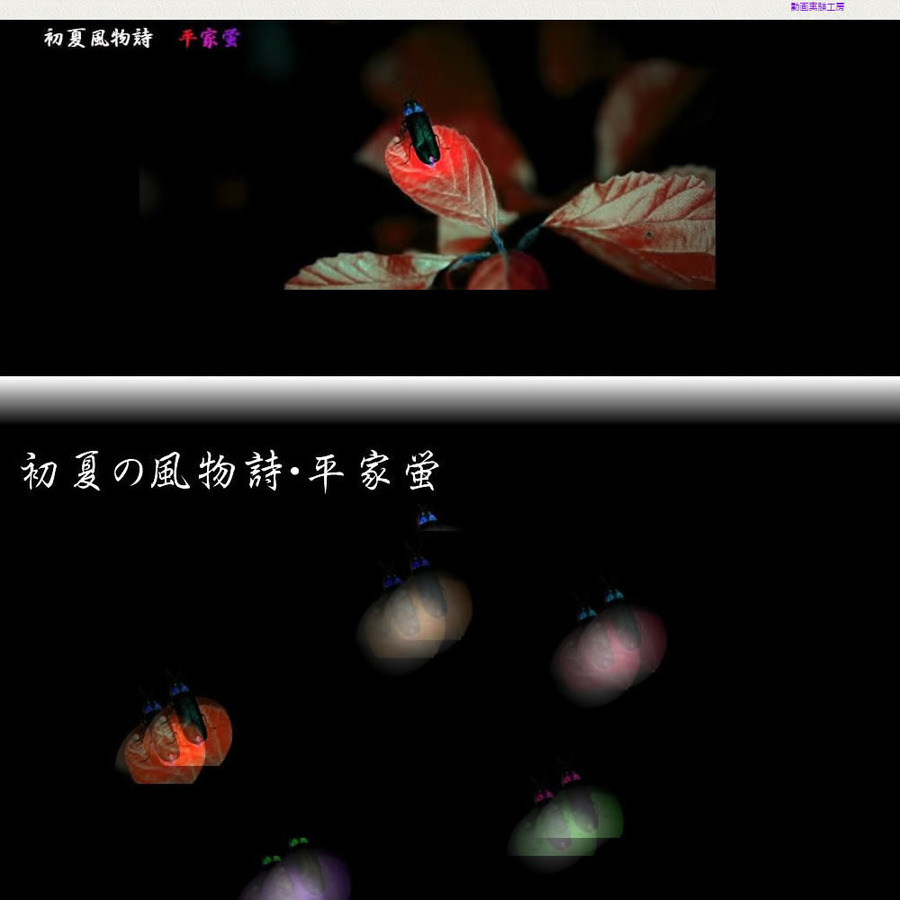 hotaru02