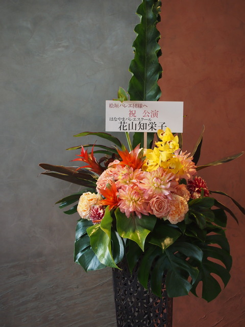 P4282173
